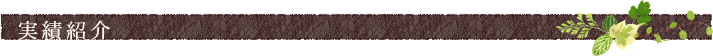 実績紹介